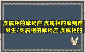 虎属相的摩羯座 虎属相的摩羯座男生/虎属相的摩羯座 虎属相的摩羯座男生-我的网站